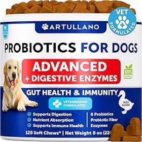 Probiotics For Dogs Support Gut Health Itchy Skin Allergies Immunity Yeast Balance Dog Probiotics And Digestive Enzymes With Prebiotics Reduce Diarrhe