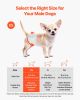 Disposable Male Dog Diapers, Super Absorbent Male Dog Wraps, 360 ° Leak-Proof Belly Bands with Wetness Indicator for Doggies in Heat, Training