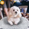 Pet Dog Bed Soft Warm Fleece Puppy Cat Bed Dog Cozy Nest Sofa Bed Cushion Mat M Size