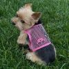 Cool Mesh Dog Harness Under the Sea Collection