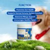 Bark And Meow Probiotics For Dogs & Cats  7 Tailored Strains  Prebiotics, Pumpkin & Carrot  5 Billion CFU Scoop Human-Grade Non-GMO, Vet-Approved Made