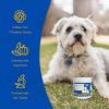 Bark And Meow Probiotics For Dogs & Cats  7 Tailored Strains  Prebiotics, Pumpkin & Carrot  5 Billion CFU Scoop Human-Grade Non-GMO, Vet-Approved Made