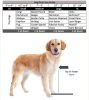 Baron Heavy Duty Raised Dog Bowl