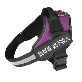 Fashion Simple Pet Leash Chest Strap Set (Option:: Purple-L)