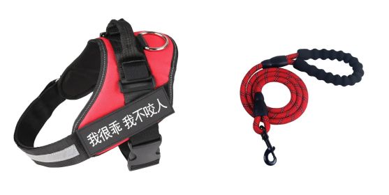 Fashion Simple Pet Leash Chest Strap Set (Option:: Red-XS)