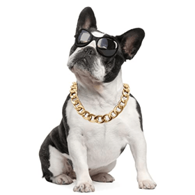 Pet gold collar Dog Chain Collar Keji Teddy Fadou domineering big gold necklace cat playing cool jewelry big gold chain (color: silvery, Size: 26cm necklace+7cm adjusting chain)
