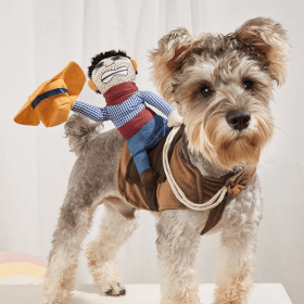 Cowboy Rider Pet Costume, Funny Dog Costume For Small Medium Dogs & Cats, Pet Clothes (color: Mixed Color, Size: m)
