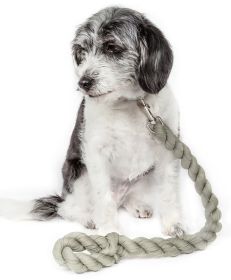 Pet Life Tough-Tugger Industrial-Strength Shock Absorption Woven Dog Leash (color: Olive)