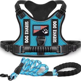 Pet Harness And Leash Set For Dog; Adjustable No Pull Service Dog Vest Harness For Walking (color: Lake Blue, Size: XS)