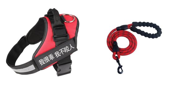 Fashion Simple Pet Leash Chest Strap Set (Option:: Red-M)