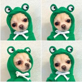 Cute Fruit Dog Clothes For Small Dogs Hoodies Winter Warm Fleece Pet Clothing Puppy Cat Costume Coat For French Chihuahua Outfit (Option:: 5 Style-S)