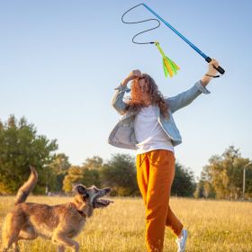 Extendable Dog Flirt Pole with Lure 10.23-26.77in Teaser Wand with 2 Replaceable Interactive Tail Toys For Small Medium Large Dogs Training Exercise T (Option:: Blue)