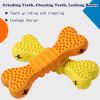 Dog Chew Toys Two-pack Dog Toothbrush Care Cleaning Stick Toothbrush Chew Stick For Dog Dental Care Safe Tooth Protection And Cleaning Suitable For La