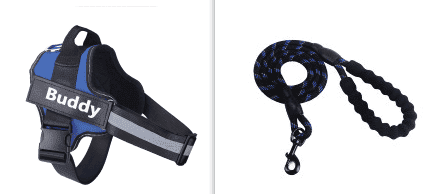 Fashion Simple Pet Leash Chest Strap Set (Option:: Blue-S)