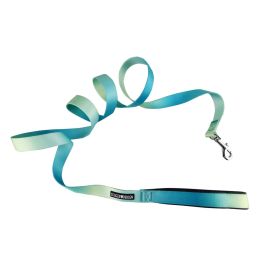 American River Ombre Leash (yellow: Aruba Blue, Extra Large:: 5/8 inches wide x 4 feet long)