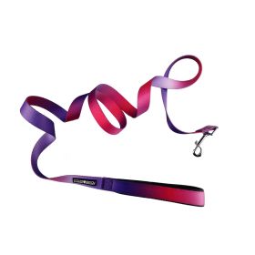 American River Ombre Leash (yellow: Raspberry Sundae, Extra Large:: 5/8 inches wide x 4 feet long)