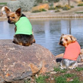 Cotton Dog Tank (yellow: Purple, Extra Large:: XL: Green Flash, Extra Large: yellow: Purple, Extra Large:: XL: X-Small)