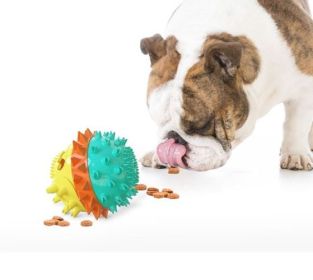 Pet Chew Toy Interactive Treat Toy Squeaky Bounce Toy with Rope for Aggressive Dog Chewers (yellow: Green)