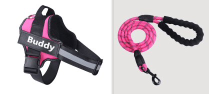 Fashion Simple Pet Leash Chest Strap Set (Option:: Pink-M)