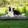 Medium Dog Outdoor Removable And Washable Inflatable Waterproof And Non-slip Dog Bed Summer Pet Travel Mat
