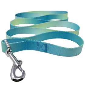 American River Ombre Leash (yellow: Aruba Blue, Extra Large:: 1 inch wide x 6 feet long)