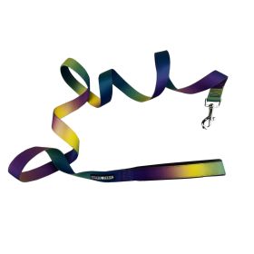 American River Ombre Leash (yellow: Cosmic Splash, Extra Large:: 1 inch wide x 6 feet long)