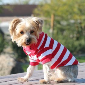 Striped Dog Polo (yellow: Purple, Extra Large:: XL: Flame Scarlet Red and White, Extra Large: yellow: Purple, Extra Large:: XL: medium)