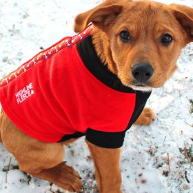 Highline Fleece Dog Coat (yellow: Red and Black with Rolling Bones, Extra Large:: Size 12)