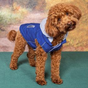 Weekender Dog Sweatshirt Hoodie (yellow: Royal Blue, Extra Large:: X-Small)