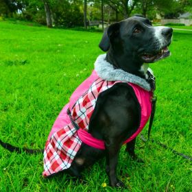 Alpine All-Weather Dog Coat (yellow: Raspberry Plaid, Extra Large:: X-Large)