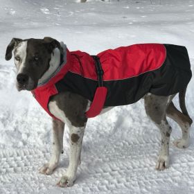 Alpine All-Weather Dog Coat (yellow: Red and Black, Extra Large:: 2X-Large)
