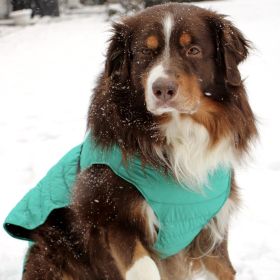 Alpine Extreme Weather Puffer Coat (yellow: Arcadia, Extra Large:: X-Large)