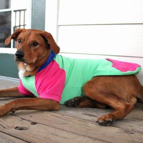 Color-Block Hoodie (yellow: Pink on Mint, Extra Large:: X-Large)