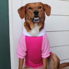 Color-Block Hoodie (yellow: Pink on Pink, Extra Large:: 4X-Large)