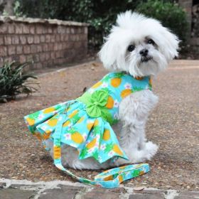 Pineapple Luau Dog Harness Dress with Matching Leash (Extra Large:: large)
