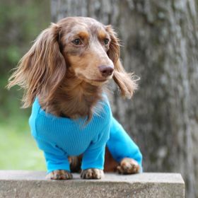 Sweet Dreams Thermal Dog Pajamas (yellow: Blue, Extra Large:: large)